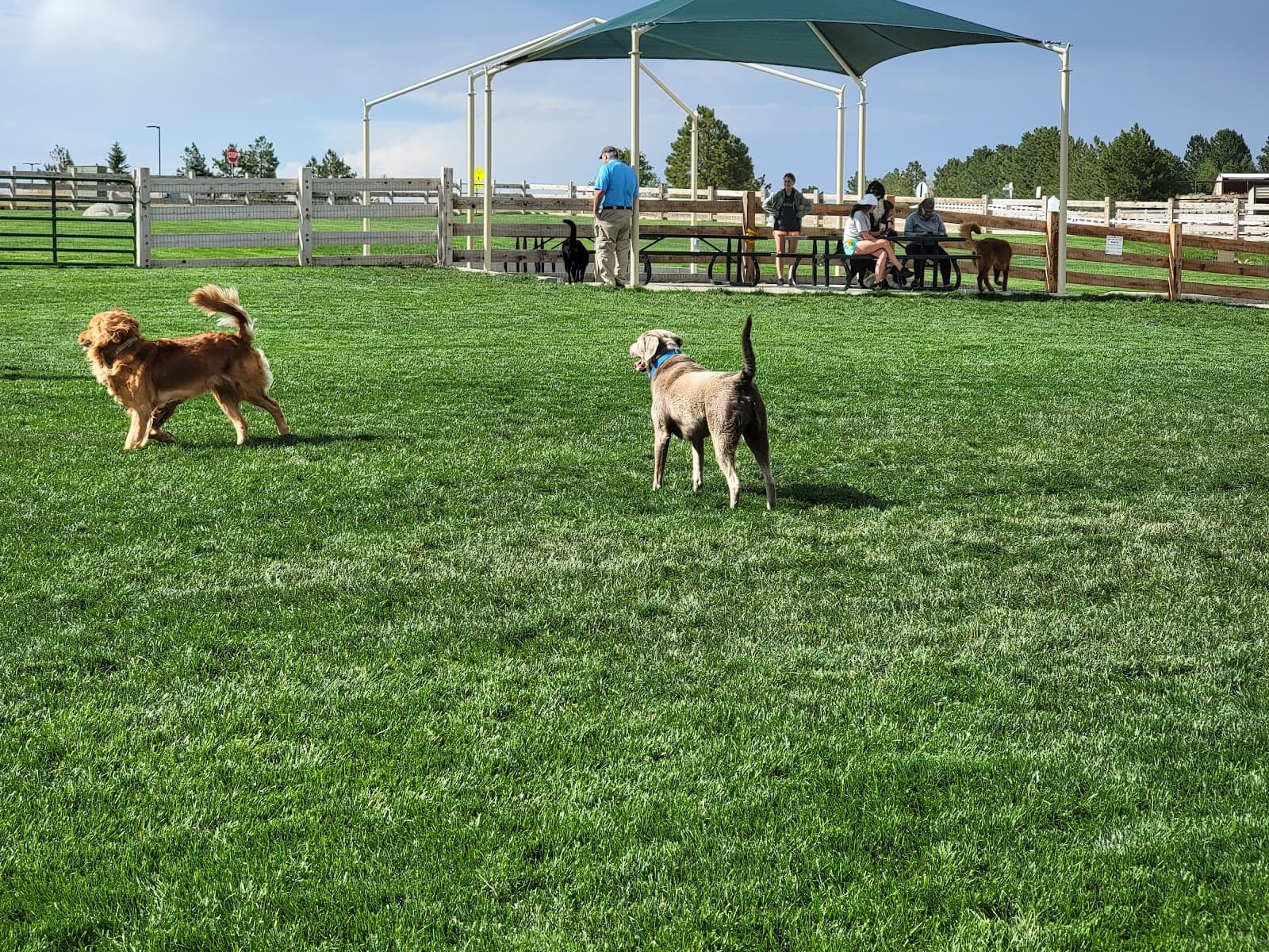 Bayou Gulch Dog Park