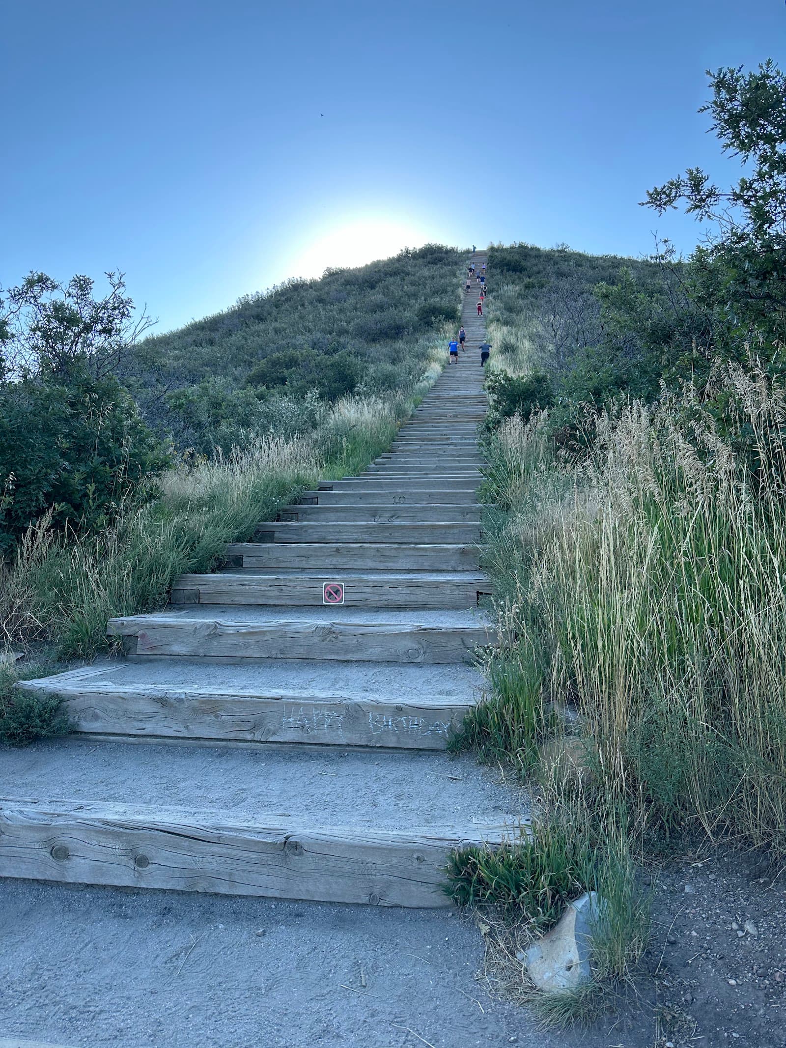 Challenge Hill and Trails at Philip S. Miller Park