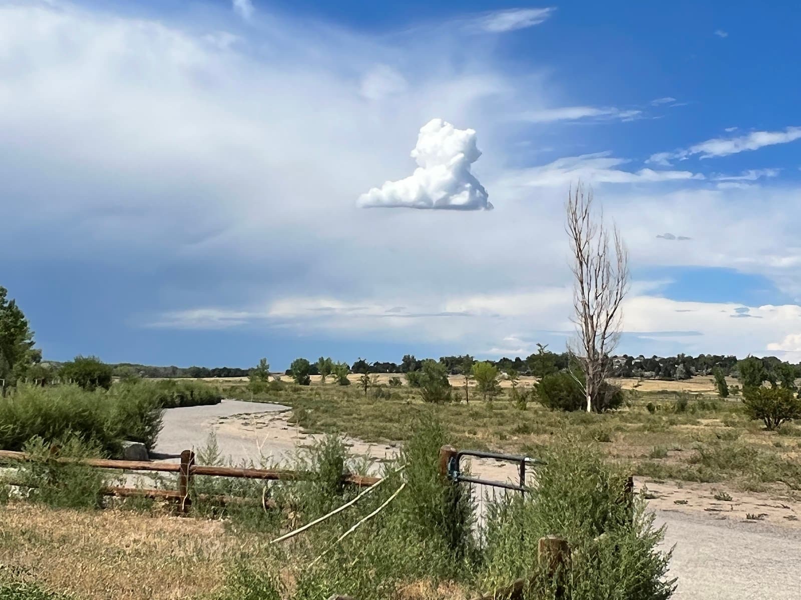 Cherry Creek Dog Off Leash Area (DOLA)