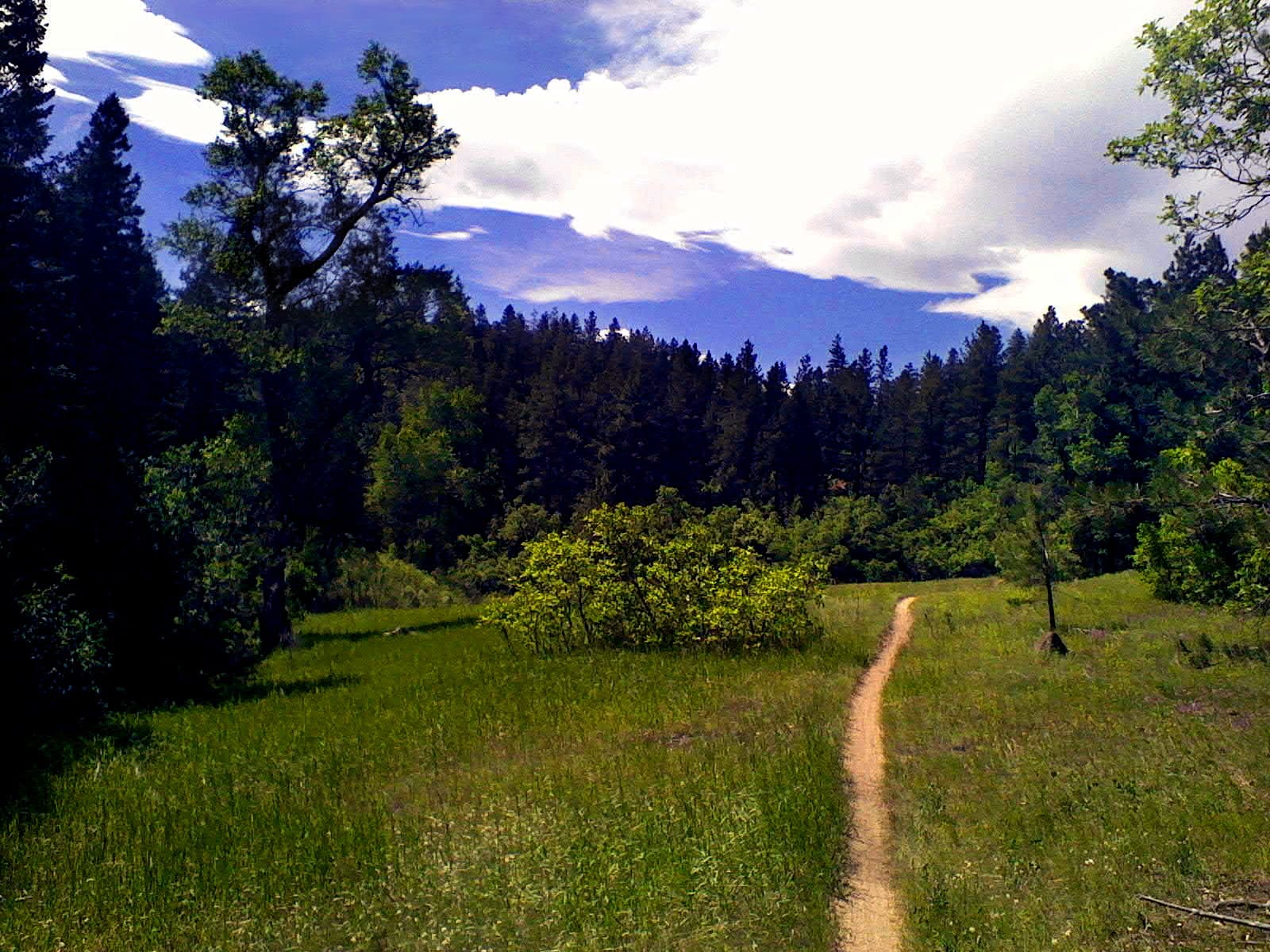 Colorado Trail / Indian Creek Trail Junction