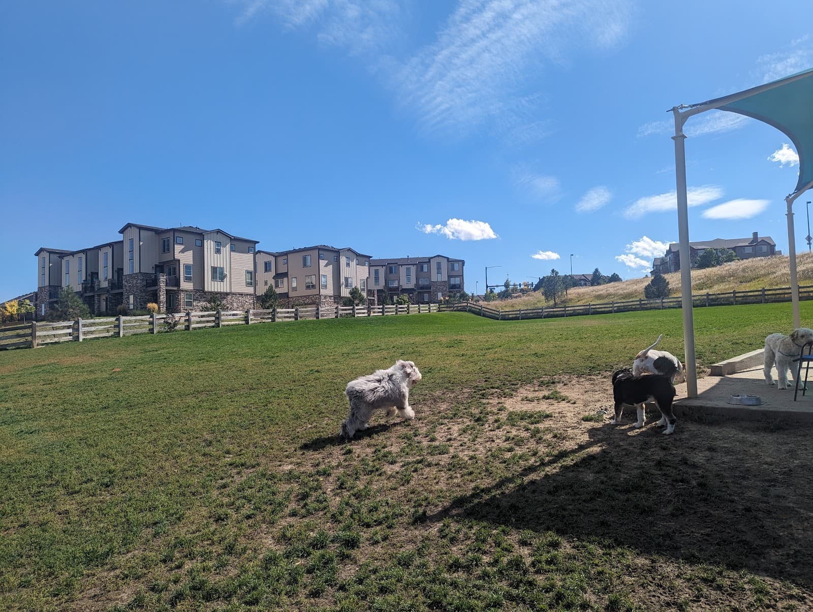 Douglas County Off-leash Area