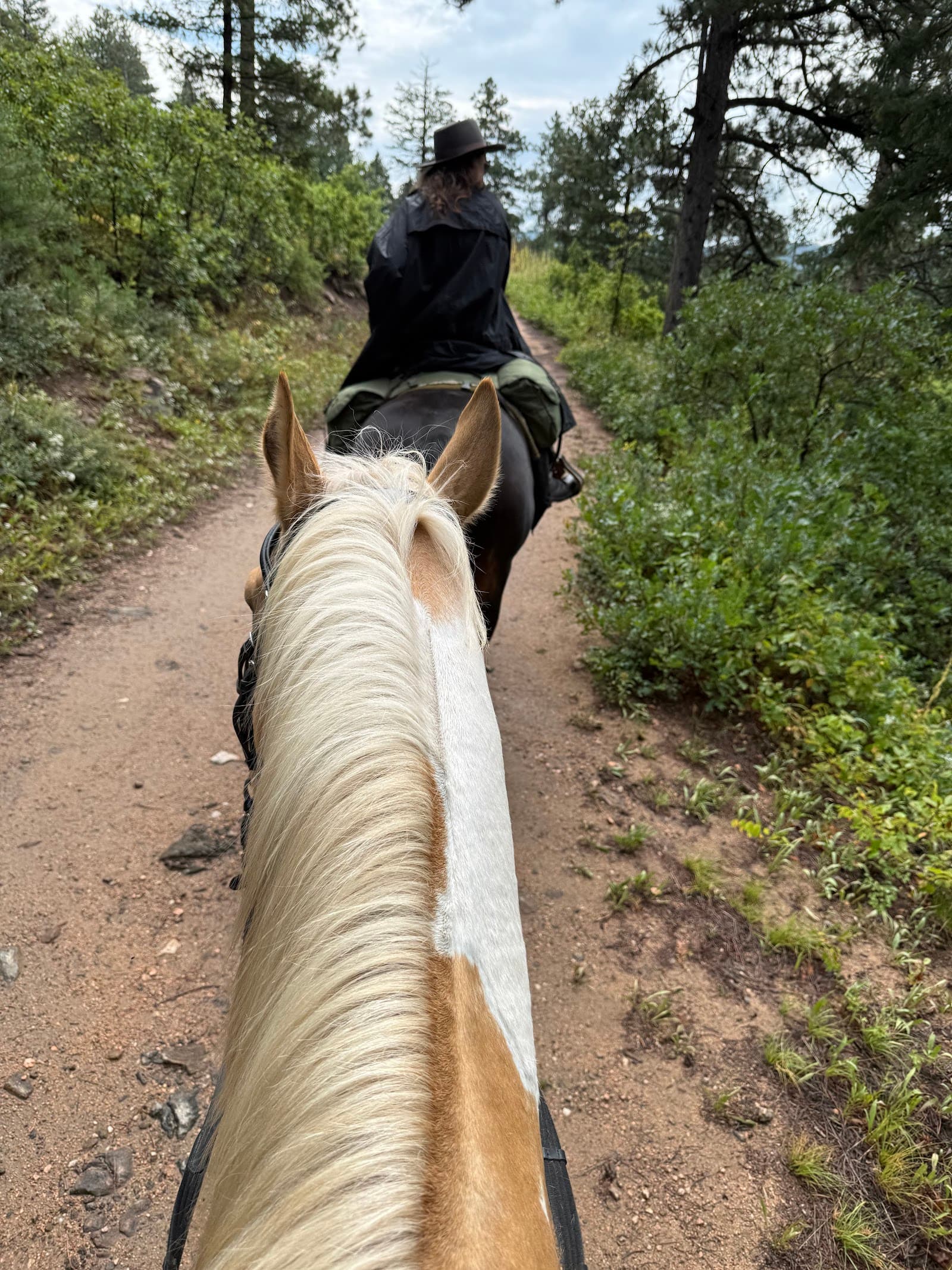 Indian Creek Campground