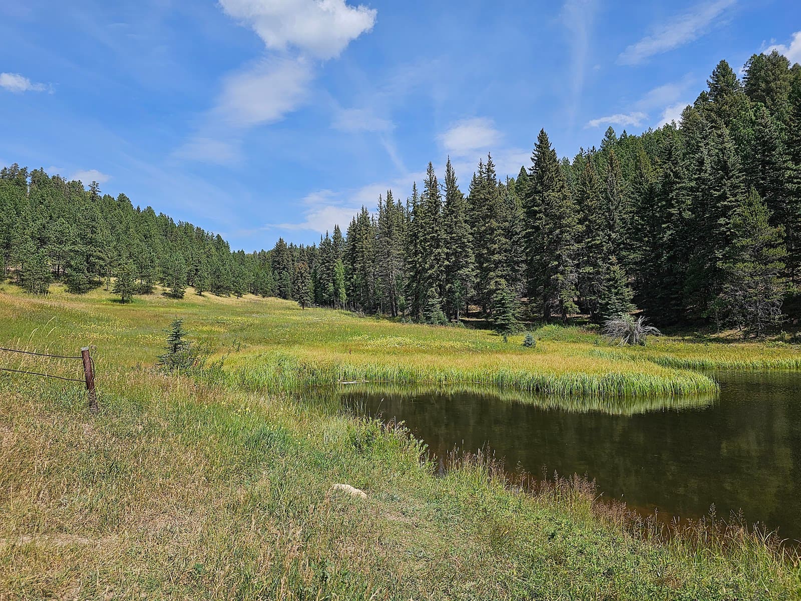 Rampart Range Campsite 86