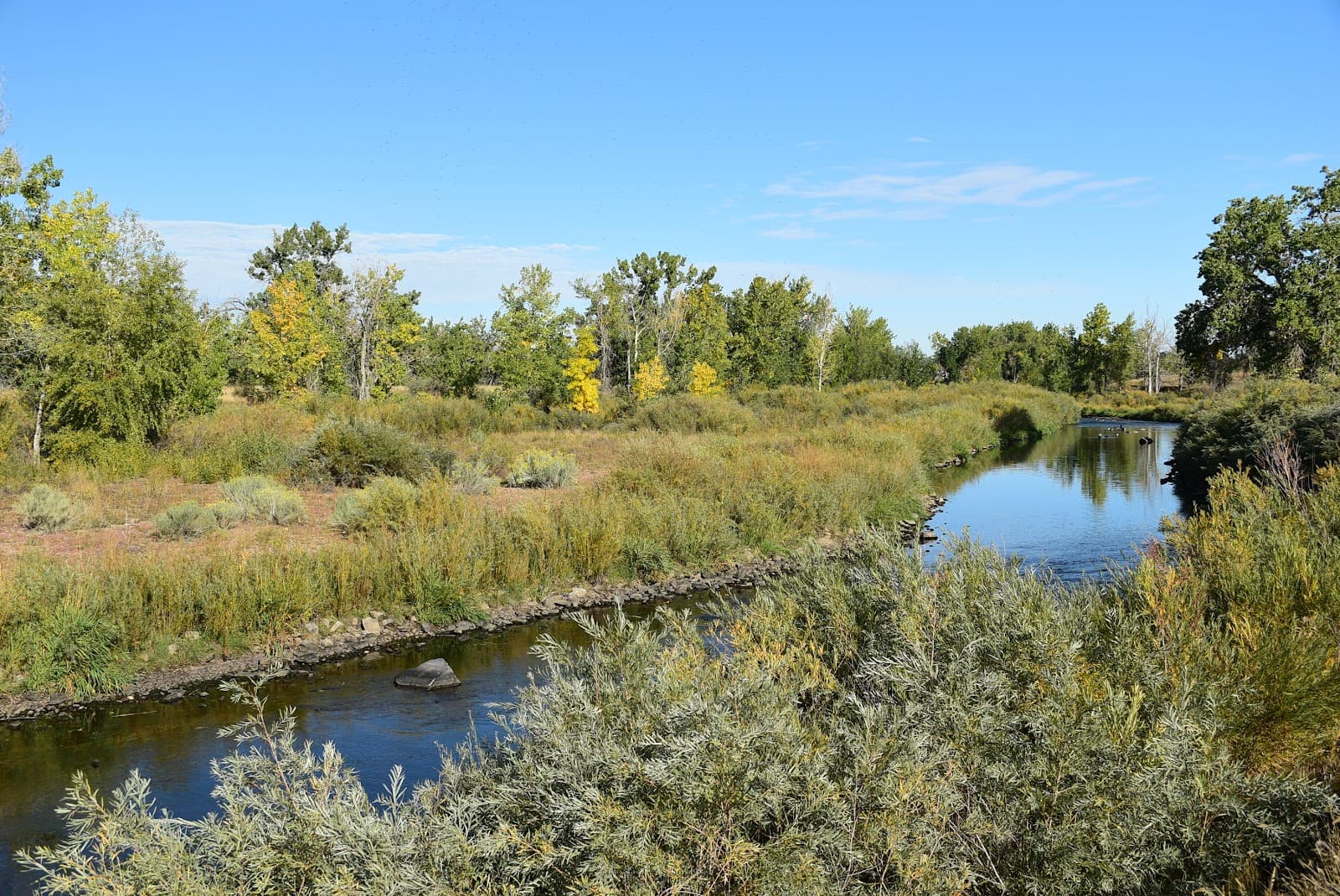 South Platte Park and Carson Nature Center