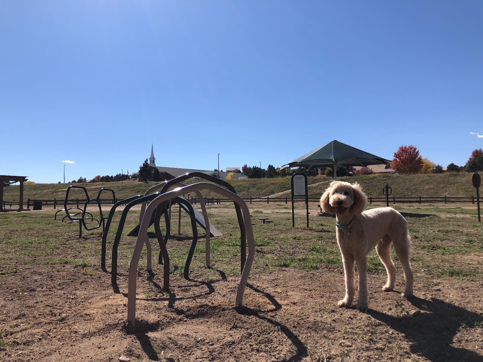 Wiggly Field Dog Park